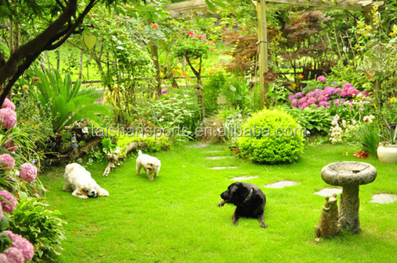 32 মিমি পিল উচ্চতা হলুদ খেলাধুলা কৃত্রিম জাল ঘাস সঙ্গে 11200 Dtex এবং 14700 ঘনত্ব বহিরঙ্গন প্রসাধন জন্য