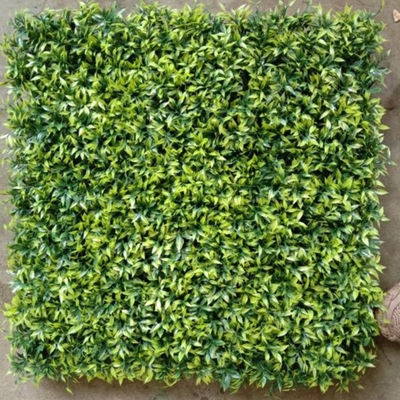 নকল কৃত্রিম প্রাচীর ঘাস 50cm * 50cm আকার ঘর এবং দোকান জন্য নিখুঁত সমাধান প্রসাধন এবং গোলমাল হ্রাস