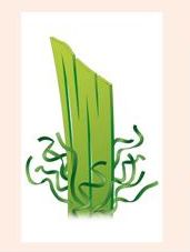 35mm Non-Infill Artificial Grass High Thickness High Density Special Backing Great UV Resistance 47N Pulling Force