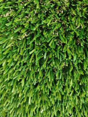 নন-ফিল গ্রিন কৃত্রিম ঘাস স্বচ্ছ লেটেক্স 30 মিমি পিই & পিপি উপাদান সামান্য বালি প্রয়োজন ড্রেনাইজিং গর্ত