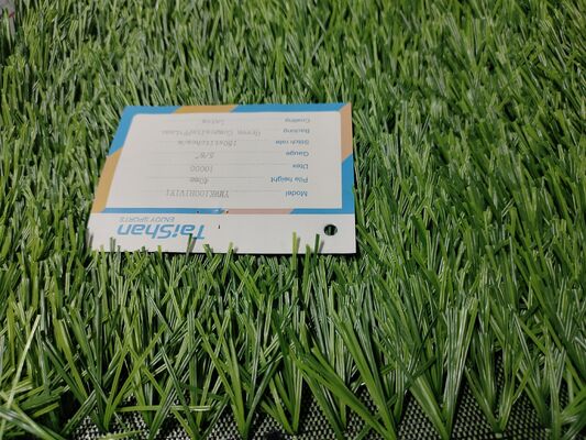 উচ্চ ঘনত্বের উচ্চ ডিটেক্স ফুটবল কৃত্রিম ঘাস পেশাদার এবং অপেশাদার মাঠের জন্য পাইকারি এবং বিতরণকারীদের জন্য উচ্চ অভ্যন্তরীণতা সহ
