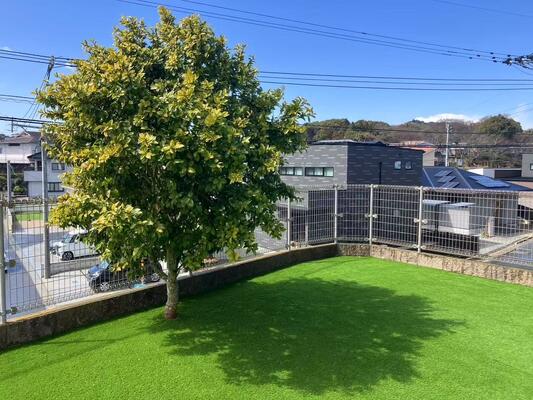 30mm Pile Height High Density Synthetic Grass with SBR Latex Backing for Landscaping and Gardens