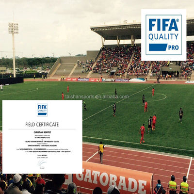 সবুজ ফুটবল কৃত্রিম ঘাস 5/8 ইঞ্চি গজ পিপি + লেনো ব্যাকিং এবং এসবিআর ল্যাটেক্স লেপ আঠালো সঙ্গে