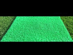 তাইশান নাইলন নতুন পণ্য