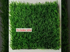 টিএস ডুরা ৫০১৪