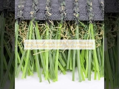 কারখানার বার্ষিক ক্ষমতা কৃত্রিম ঘাস রোলস মধ্যে কৃত্রিম ঘাস খেলার মাঠের জন্য চূড়ান্ত ক্রীড়া ঘাস পছন্দ