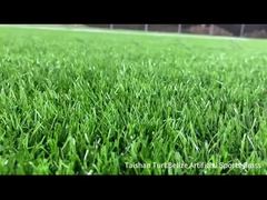 তাইশান নতুন প্রকল্প বেলিজ আর্টিফিসিয়াল স্পোর্টস টার্ফ